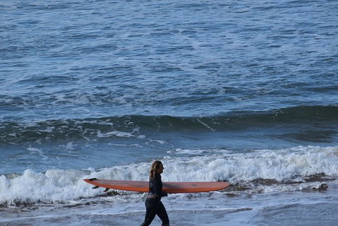 Private Day Tour Of Phillip Island Wildlife And Brighton Beach - Sunshine Coast Guide 7