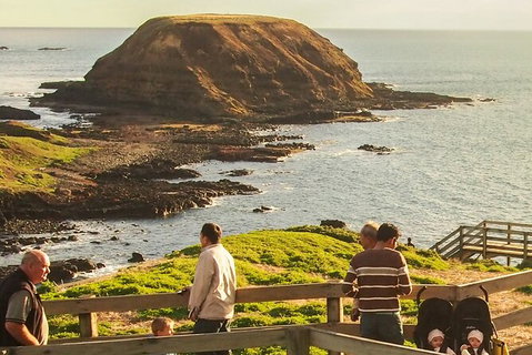 Healesville Sanctuary And Phillip Island Wildlife Bus Tour - Sunshine Coast Guide 7