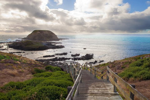 Healesville Sanctuary And Phillip Island Wildlife Bus Tour - Sunshine Coast Guide 1