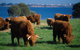 2 Day Exclusively Private Tour Of Phillip Island & The Great Ocean Road - thumb 4