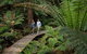 2 Day Exclusively Private Tour Of Phillip Island & The Great Ocean Road - thumb 3