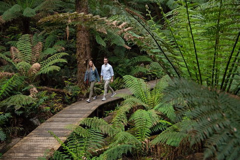 2 Day Exclusively Private Tour Of Phillip Island & The Great Ocean Road - Sunshine Coast Guide 3