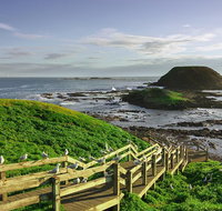 Full-Day Guided Australian Wildlife Tour of Phillip Island - Sunshine Coast Guide