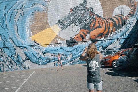 Melbourne Minipack: The 4 Day - Sunshine Coast Guide 0
