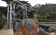 Great Ocean Road Private Tour - thumb 4