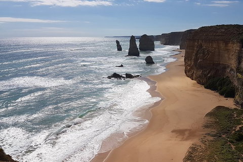Great Ocean Road Private Tour - Sunshine Coast Guide 2