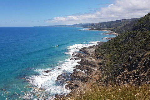 Great Ocean Road Private Tour - Sunshine Coast Guide 1