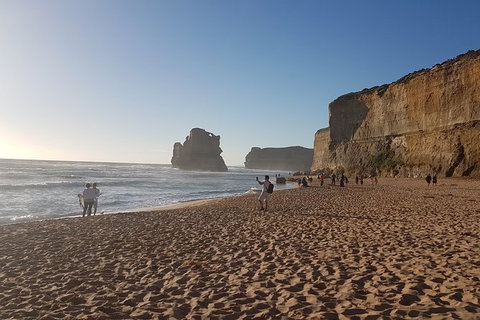 Great Ocean Road Private Tour - Sunshine Coast Guide 5