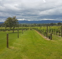 Yarra Valley Private Tour - Sunshine Coast Guide