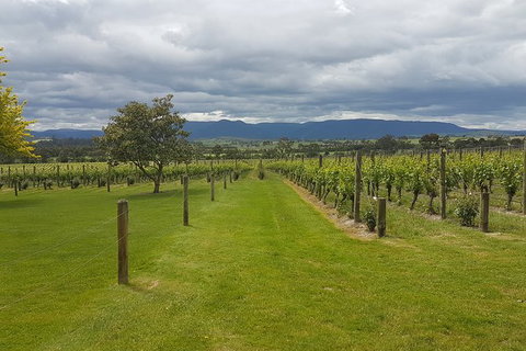 Yarra Valley Private Tour - Sunshine Coast Guide 0