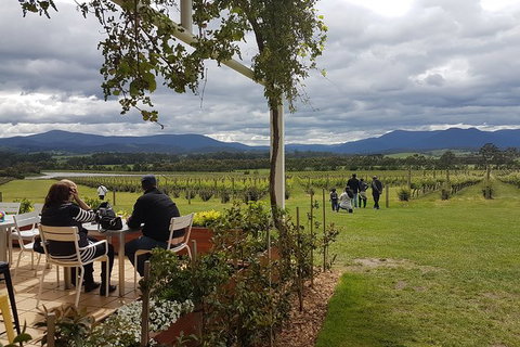 Yarra Valley Private Tour - Sunshine Coast Guide 5