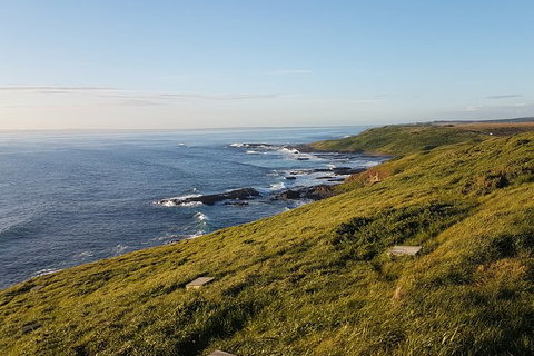 Phillip Island Express Tour - Sunshine Coast Guide 1