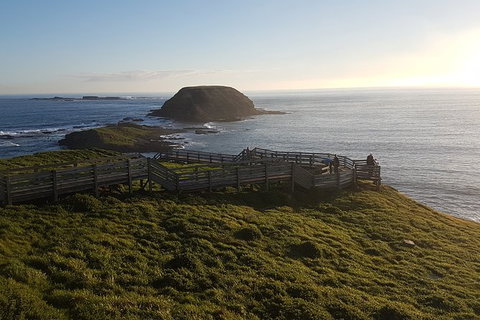 Phillip Island Express Tour - Sunshine Coast Guide 3