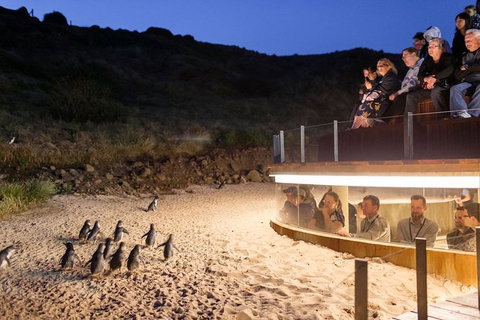 Phillip Island Express Tour - Sunshine Coast Guide 2