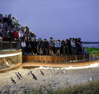 Phillip Island Private Tour - Sunshine Coast Guide