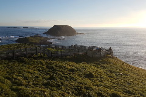 Phillip Island Private Tour - Sunshine Coast Guide 5