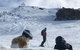 Midweek Magic Snow Trip - thumb 2
