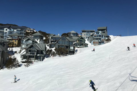 Midweek Magic Snow Trip - Sunshine Coast Guide 1
