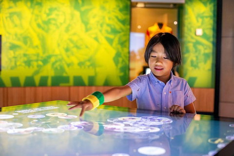 Melbourne Sports Experience + Free Australian Sports Museum Entry - Sunshine Coast Guide 1