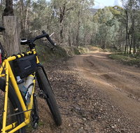 Gold n Gravel  Full Day Beechworth Gravel Cycling Tour - Sunshine Coast Guide