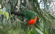 3-Day Private Great Ocean Road And Grampians Tour - thumb 1