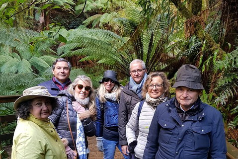 Private Weekend Escape - 2 Day Great Ocean Road Tour - Sunshine Coast Guide 6