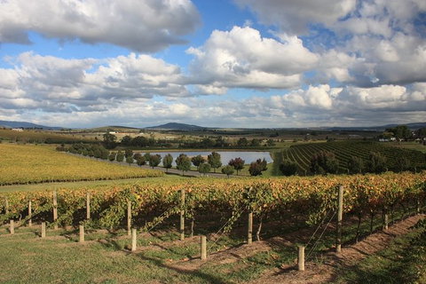 LGBT+ Friendly Full Day Yarra Valley & Dandenong Ranges Private Tour - Sunshine Coast Guide 0