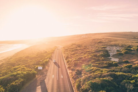 LGBT+ Friendly 2 Day Private Great Ocean Road Tour - Sunshine Coast Guide 1