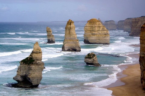 LGBT+ Friendly 2 Day Private Great Ocean Road Tour - Sunshine Coast Guide 0