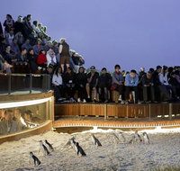 LGBT Friendly Full Day Phillip Island Private Tour - Sunshine Coast Guide