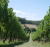 Private winery tour - Sunshine Coast Guide