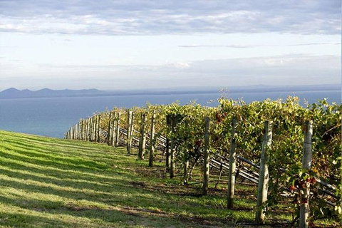 Winery Tours â€“ Mornington/Yarra Valley/Bellarine/Macedon Ranges - Up To 3 Pax - Sunshine Coast Guide 0