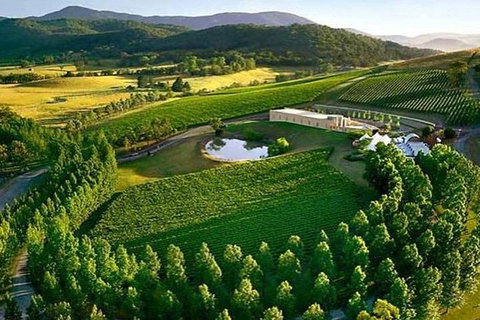 Winery Tours â€“ Mornington/Yarra Valley/Bellarine/Macedon Ranges - Up To 3 Pax - Sunshine Coast Guide 2