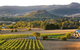 Winery Tours â€“ Mornington/Yarra Valley/Bellarine/Macedon Ranges - Up To 3 Pax - thumb 3