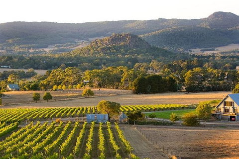 Winery Tours â€“ Mornington/Yarra Valley/Bellarine/Macedon Ranges - Up To 3 Pax - Sunshine Coast Guide 3