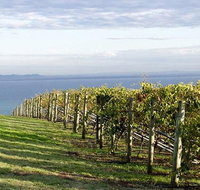 Winery Tours  Mornington/Yarra Valley/Bellarine/Macedon Ranges - Up to 11 Pax - Sunshine Coast Guide