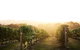 Yarra Valley Experience - thumb 2
