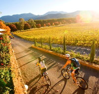 Feathertop Winery Pedal and Picnic in the Vines - Sunshine Coast Guide