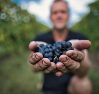 Feathertop Winery Behind the Wines and Vines - Sunshine Coast Guide