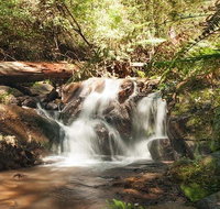 Discover Tour Dandenong Ranges  William Ricketts Sanctuary - Sunshine Coast Guide