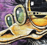 Photography  Culture Tour of Melbourne Australia - Sunshine Coast Guide