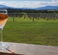 Yarra Valley 7 Hours Guided Wine Tour with 2-Course Lunch - Sunshine Coast Guide
