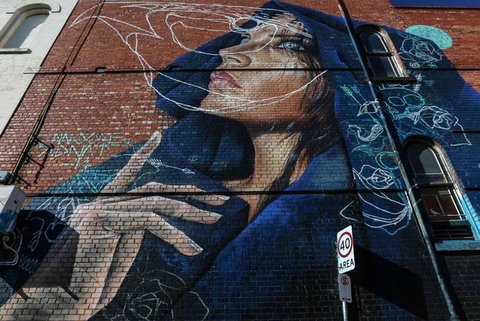 2-Hour Discover Fitzroy Street Art Tour With Guide - Sunshine Coast Guide 2
