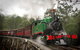 Puffing Billy, Wildlife Sanctuary & Penguins Day Tour From Melbourne - thumb 0