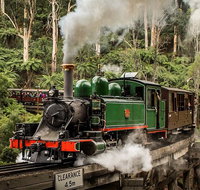 Small Group - Dandenong Ranges Puffing Billy  Healesville Sanctuary Day Tour - Sunshine Coast Guide