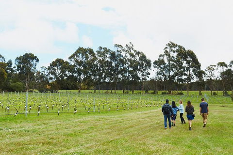 Organic Vineyard/Farm Tour - Sunshine Coast Guide 7
