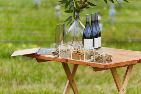 Organic Vineyard/Farm Tour - Sunshine Coast Guide 3