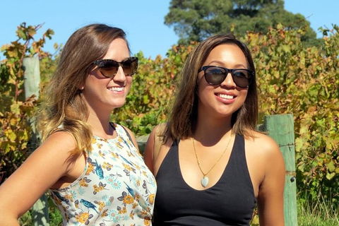 Margaret River Beer & Wine Adventure (departs Dunsborough/Busselton) - Sunshine Coast Guide 1