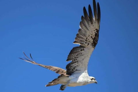 Romance Aircraft Flight + Scenic Tour + 3 Course Lunch + Beer Tasting + Hamper - Sunshine Coast Guide 4
