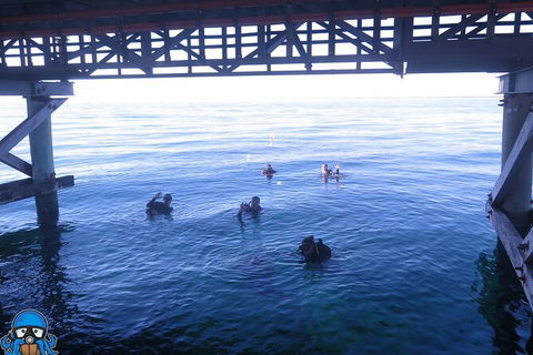 PADI Open Water Course - Sunshine Coast Guide 3